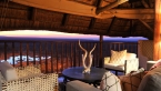 Victoria Falls Safari Lodge - Victoria Falls